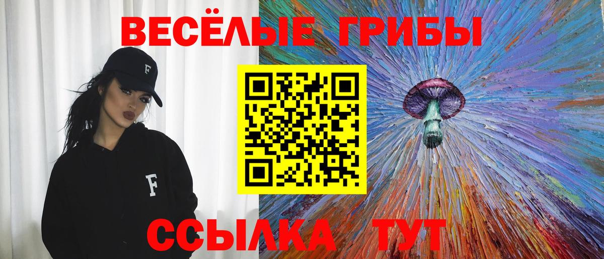 Псилоцибиновые грибы мицелий Санкт-Петербург
