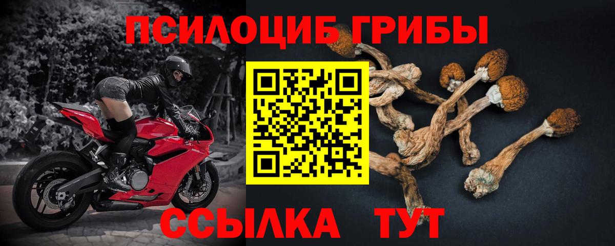 Псилоцибиновые грибы ЛСД  Вход с VPN  Санкт-Петербург 