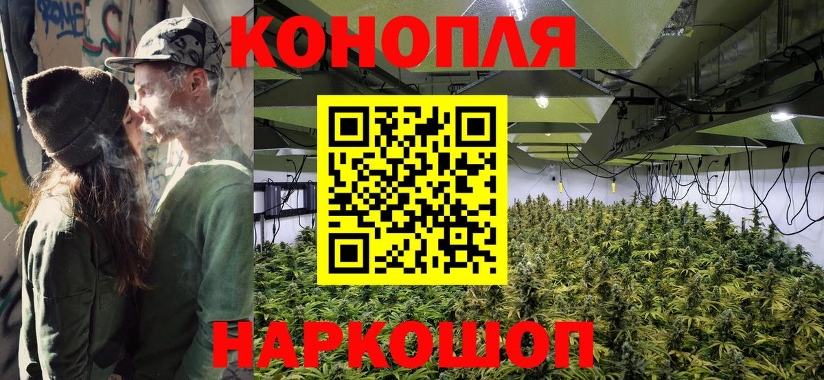 Конопля планчик Санкт-Петербург